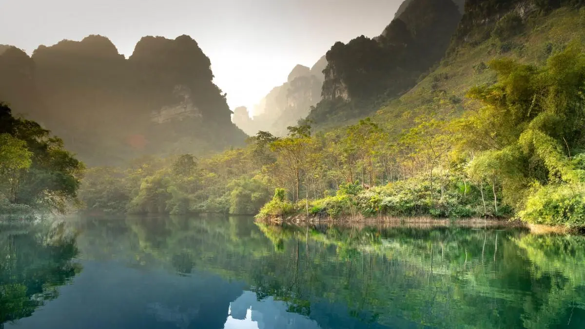 高性能绿色高性能